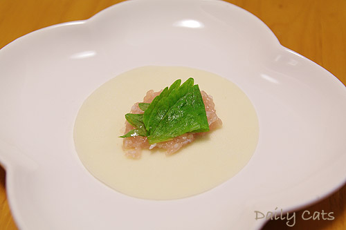 20101127_2.jpg